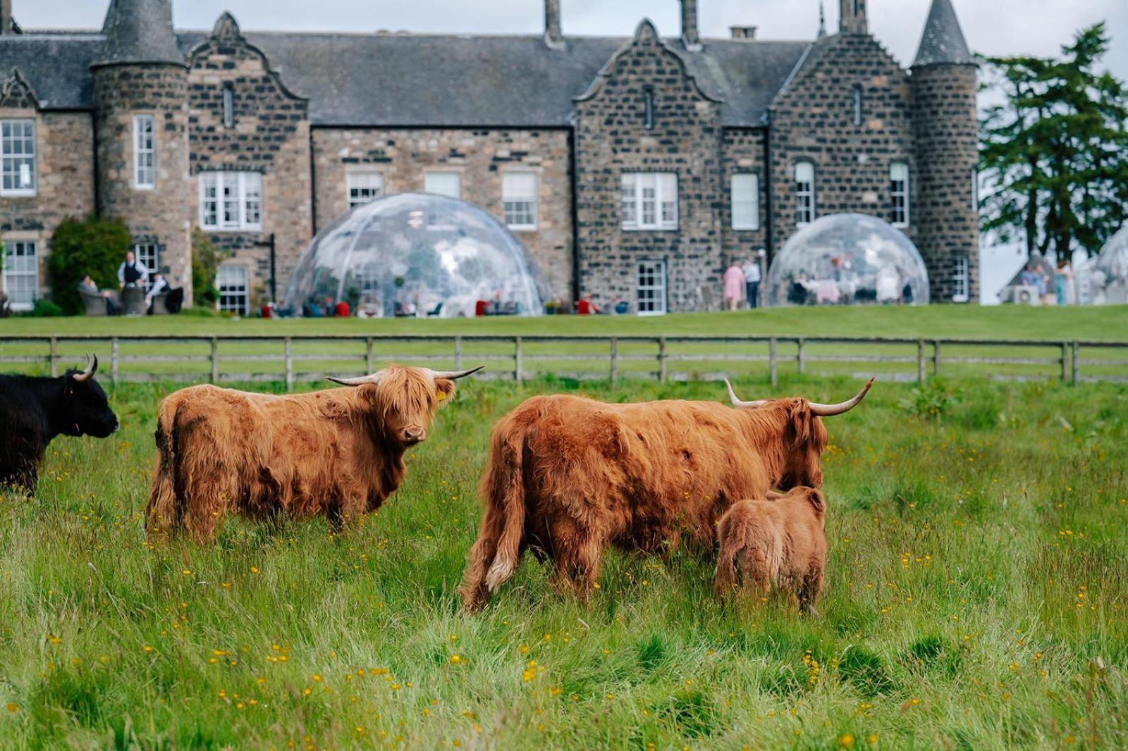 Meldrum House Hotel Golf And Country Estate Oldmeldrum Екстер'єр фото